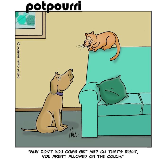 30 Cat Comics That Nail The Crazy, Sneaky, Hilarious Side Of Cats