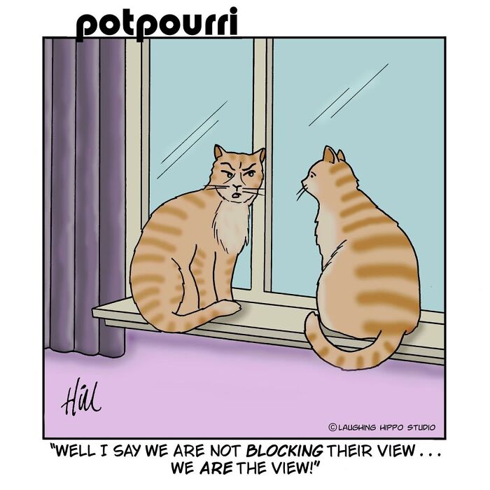 30 Cat Comics That Nail The Crazy, Sneaky, Hilarious Side Of Cats