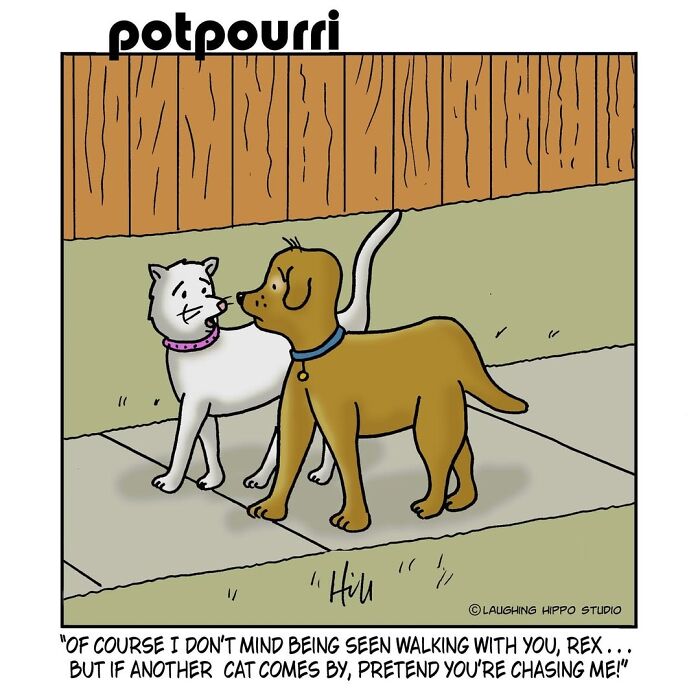 30 Cat Comics That Nail The Crazy, Sneaky, Hilarious Side Of Cats