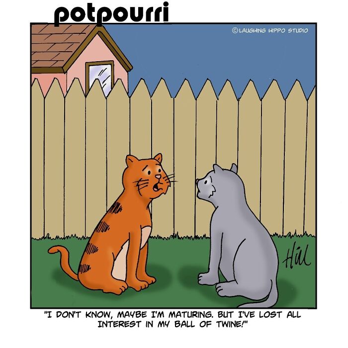 30 Cat Comics That Nail The Crazy, Sneaky, Hilarious Side Of Cats