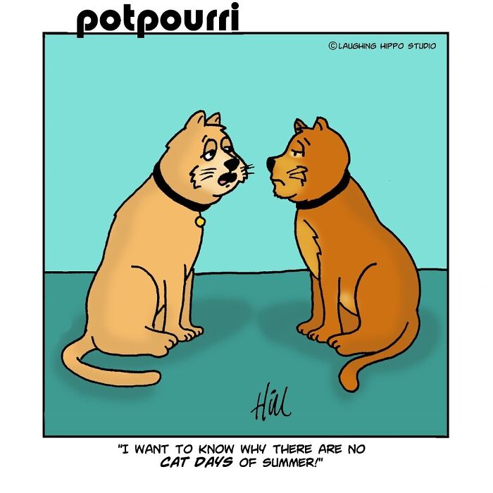 30 Cat Comics That Nail The Crazy, Sneaky, Hilarious Side Of Cats