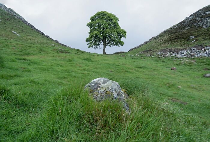 Wait, Archaeologists Found This Stuff?! Check Out These Wild Finds!