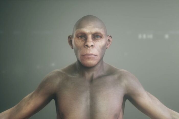 Wait, Archaeologists Found This Stuff?! Check Out These Wild Finds!