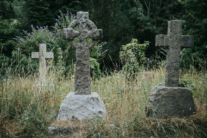 Wait, Archaeologists Found This Stuff?! Check Out These Wild Finds!