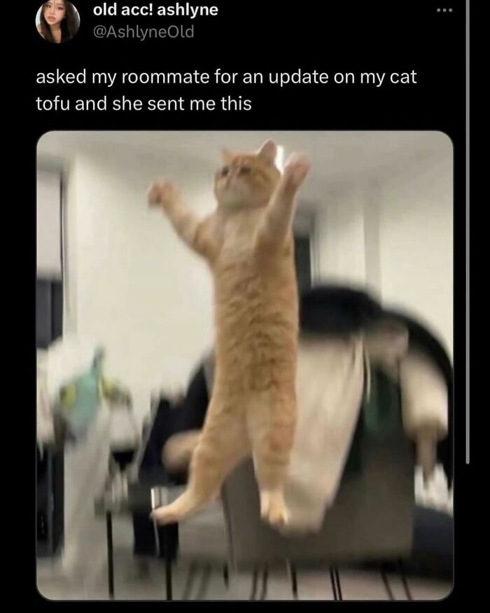 When People Just Say What They’re Thinking and Oh Boy, It’s Hilarious