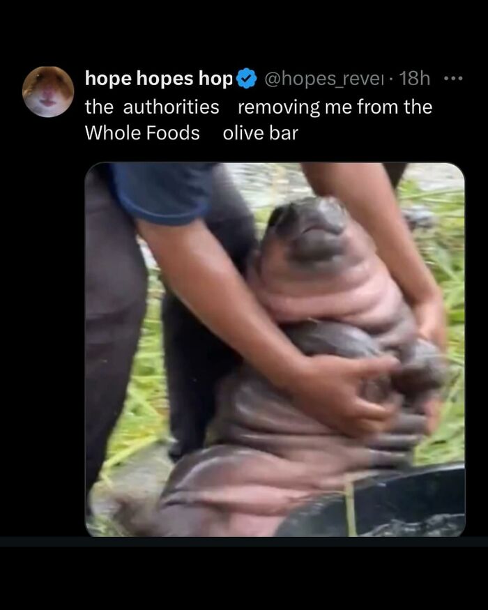 When People Just Say What They’re Thinking and Oh Boy, It’s Hilarious