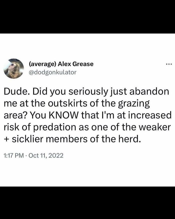 When People Just Say What They’re Thinking and Oh Boy, It’s Hilarious