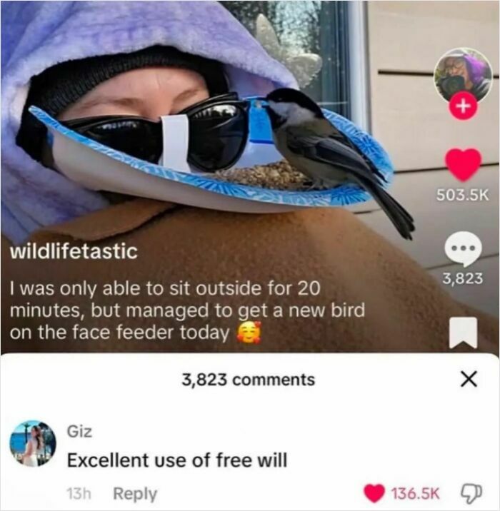 Wait, They Really Said That? 83 Weirdly Hilarious New Sentences You Can't Unread