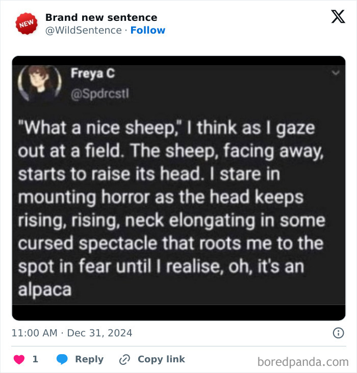 Wait, They Really Said That? 83 Weirdly Hilarious New Sentences You Can't Unread