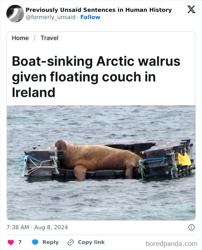 Wait, They Really Said That? 83 Weirdly Hilarious New Sentences You Can't Unread