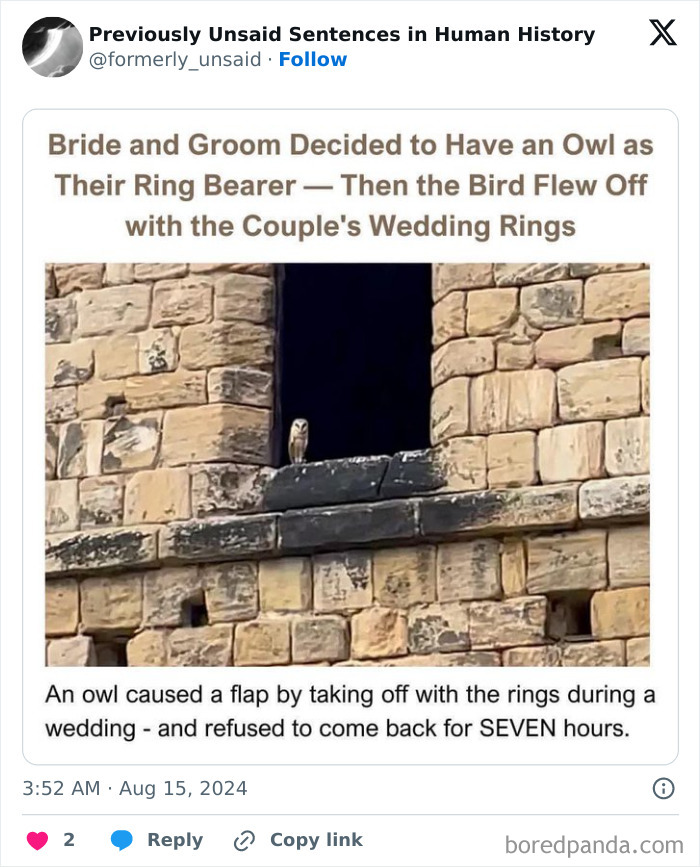 Wait, They Really Said That? 83 Weirdly Hilarious New Sentences You Can't Unread