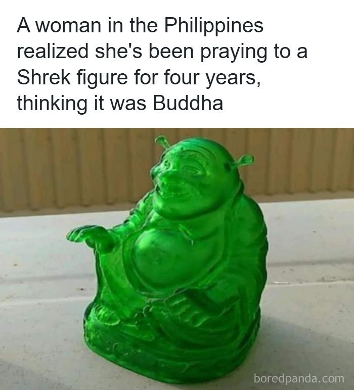 Wait, They Really Said That? 83 Weirdly Hilarious New Sentences You Can't Unread