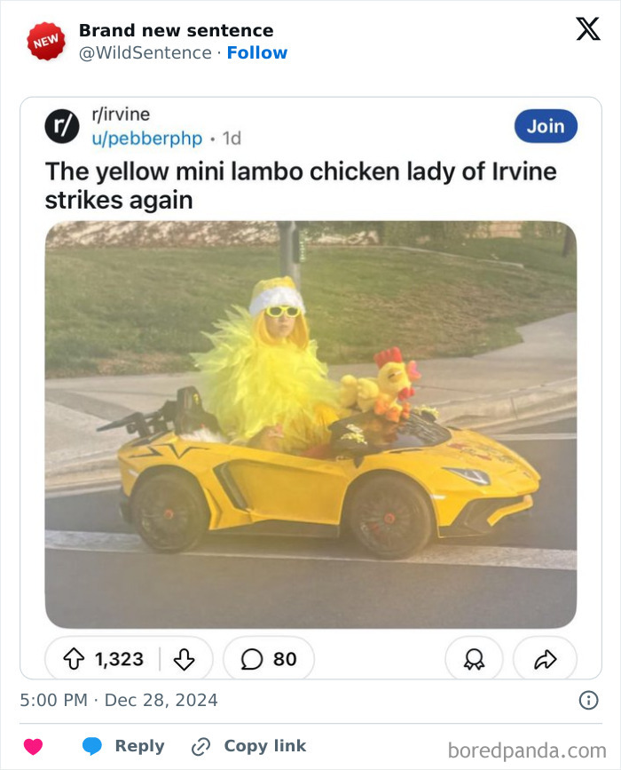 Wait, They Really Said That? 83 Weirdly Hilarious New Sentences You Can't Unread