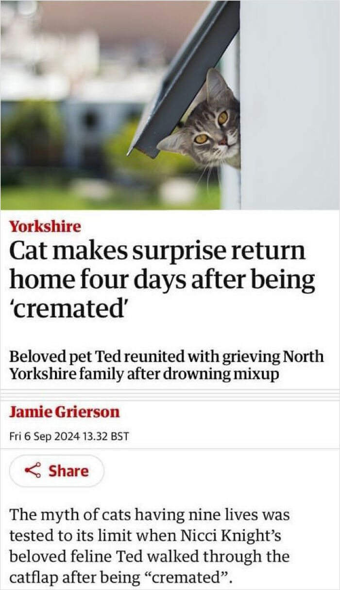 Wait, They Really Said That? 83 Weirdly Hilarious New Sentences You Can't Unread