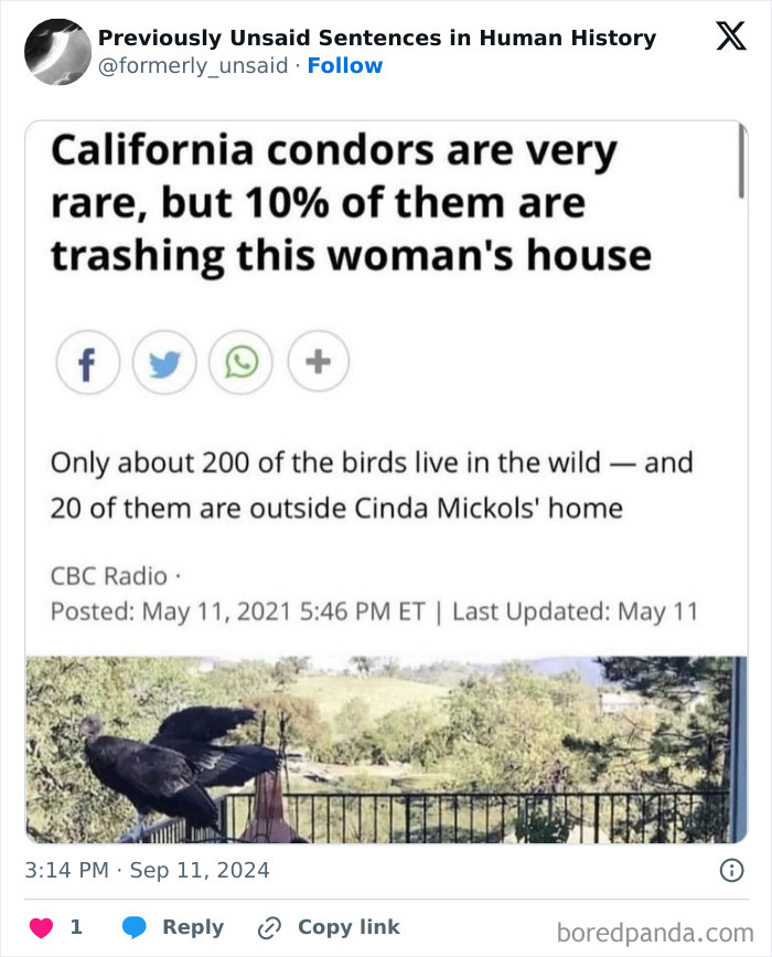 Wait, They Really Said That? 83 Weirdly Hilarious New Sentences You Can't Unread