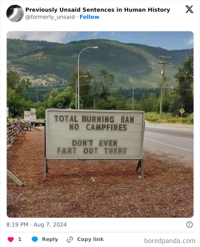 Wait, They Really Said That? 83 Weirdly Hilarious New Sentences You Can't Unread