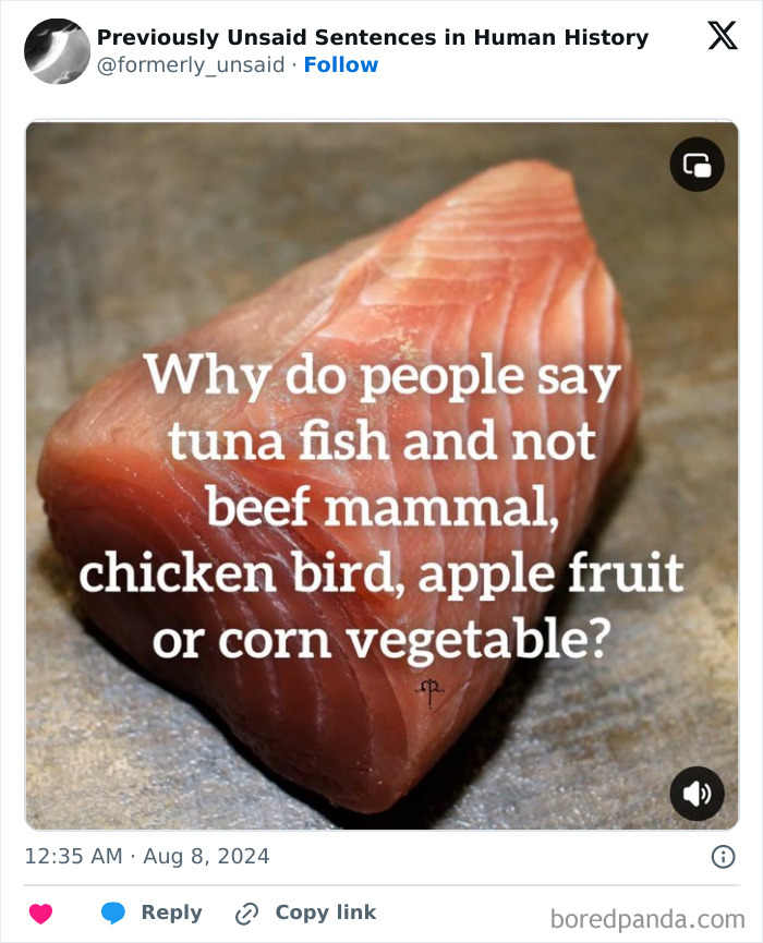 Wait, They Really Said That? 83 Weirdly Hilarious New Sentences You Can't Unread