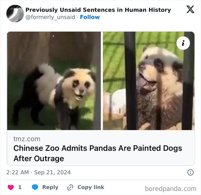 Wait, They Really Said That? 83 Weirdly Hilarious New Sentences You Can't Unread