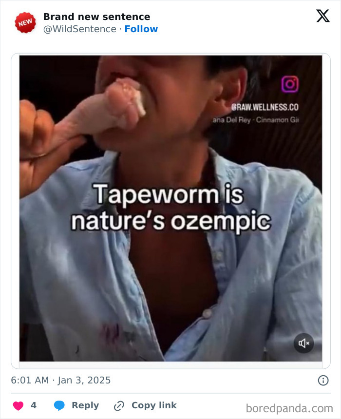 Wait, They Really Said That? 83 Weirdly Hilarious New Sentences You Can't Unread