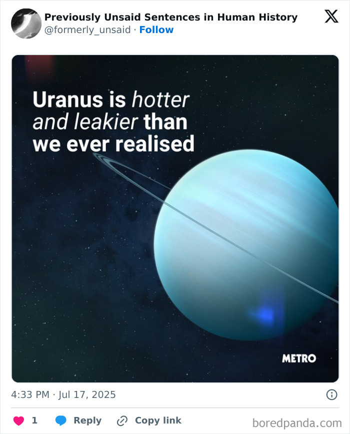 Wait, They Really Said That? 83 Weirdly Hilarious New Sentences You Can't Unread