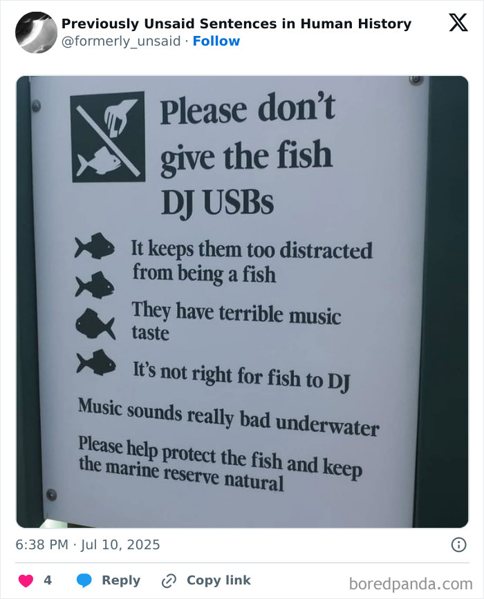 Wait, They Really Said That? 83 Weirdly Hilarious New Sentences You Can't Unread