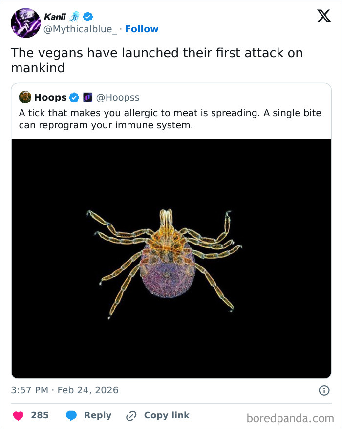 Wait, They Really Said That? 83 Weirdly Hilarious New Sentences You Can't Unread