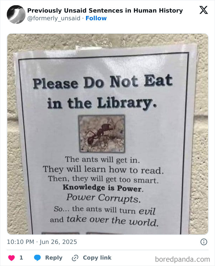 Wait, They Really Said That? 83 Weirdly Hilarious New Sentences You Can't Unread