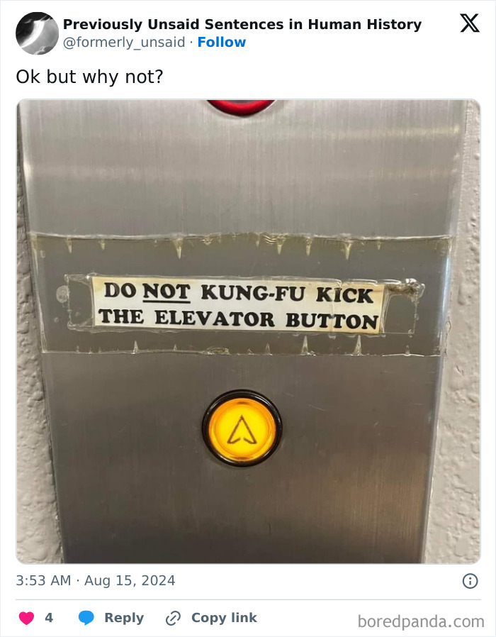 Wait, They Really Said That? 83 Weirdly Hilarious New Sentences You Can't Unread