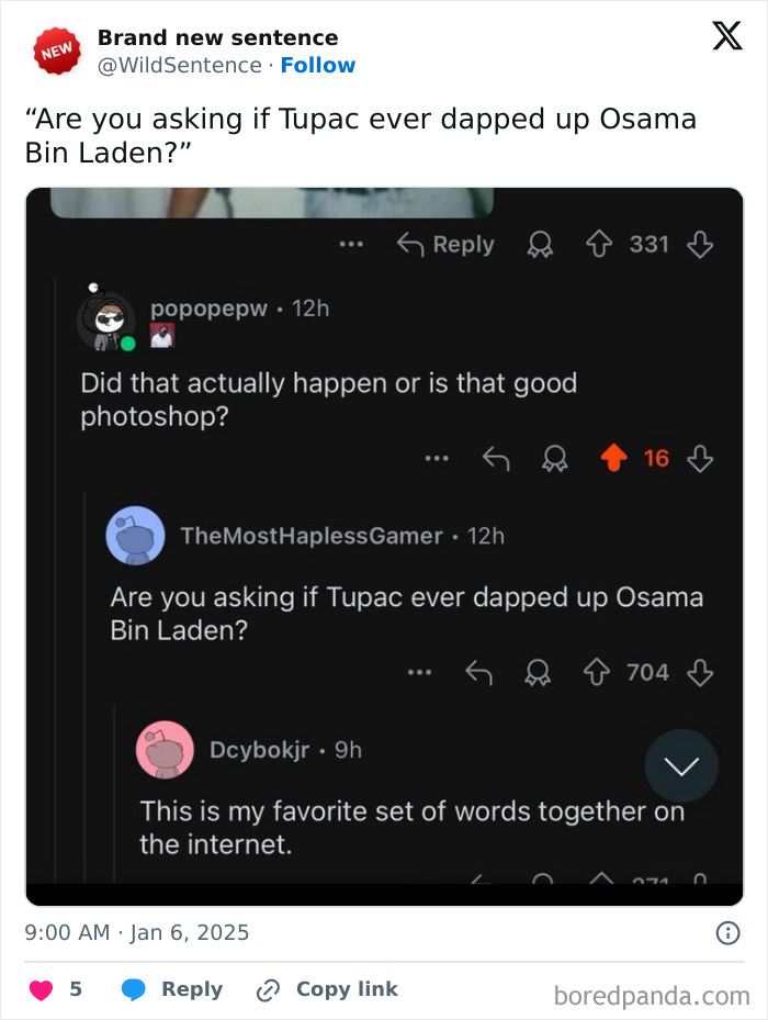 Wait, They Really Said That? 83 Weirdly Hilarious New Sentences You Can't Unread