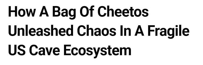 Wait, They Really Said That? 83 Weirdly Hilarious New Sentences You Can't Unread