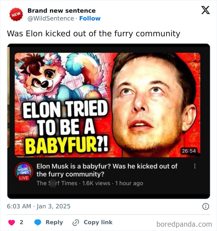 Wait, They Really Said That? 83 Weirdly Hilarious New Sentences You Can't Unread