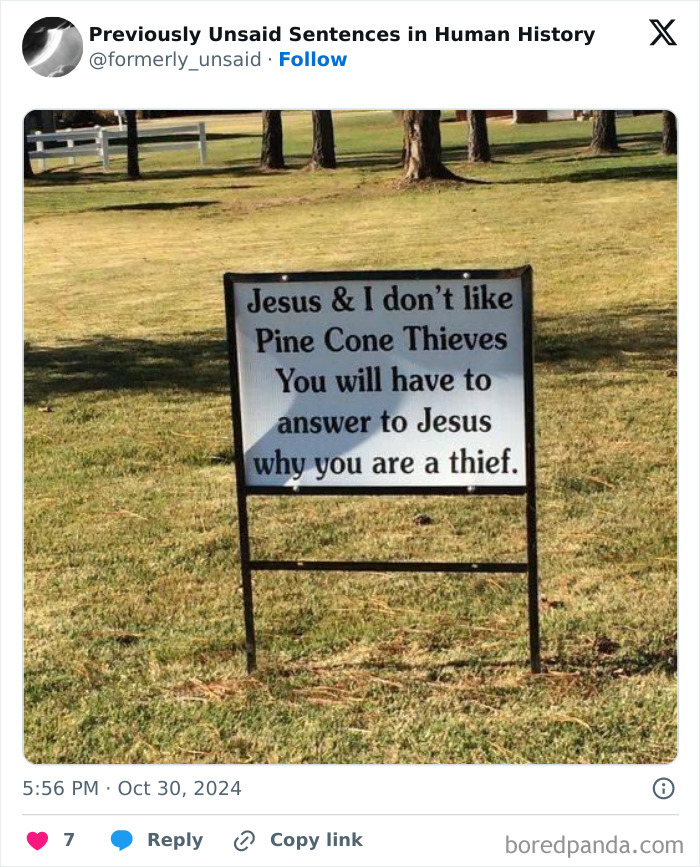 Wait, They Really Said That? 83 Weirdly Hilarious New Sentences You Can't Unread