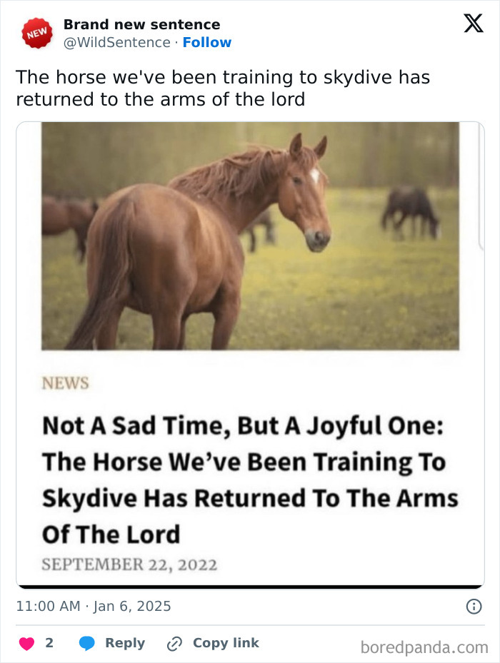 Wait, They Really Said That? 83 Weirdly Hilarious New Sentences You Can't Unread