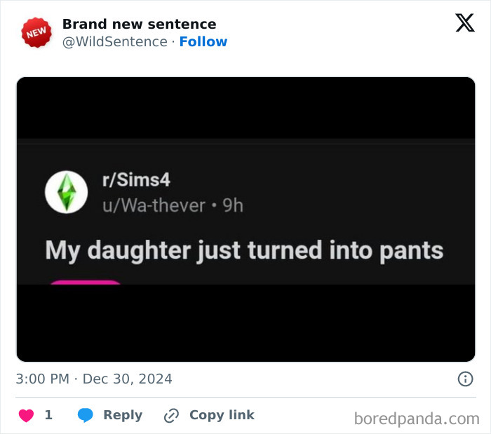 Wait, They Really Said That? 83 Weirdly Hilarious New Sentences You Can't Unread