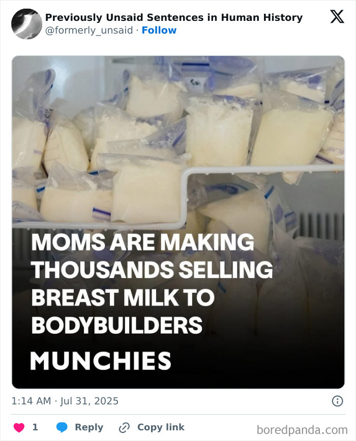 Wait, They Really Said That? 83 Weirdly Hilarious New Sentences You Can't Unread