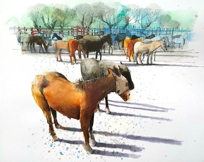 Tanque Verde Ranch, Tucson, Arizona