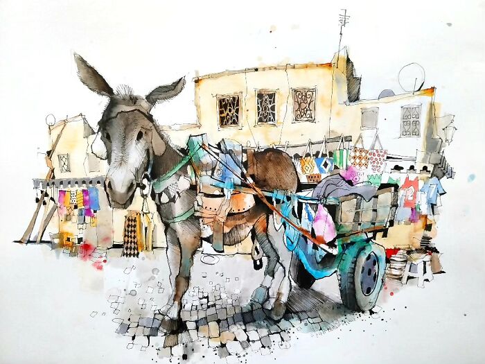 Meet Hector, The Donkey Who’s The Real MVP In Marrakech