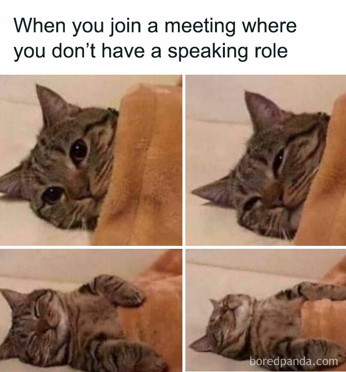 These Office Memes Are So Relatable, You'll LOL at Your Desk