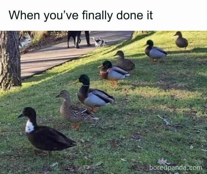 These Office Memes Are So Relatable, You'll LOL at Your Desk