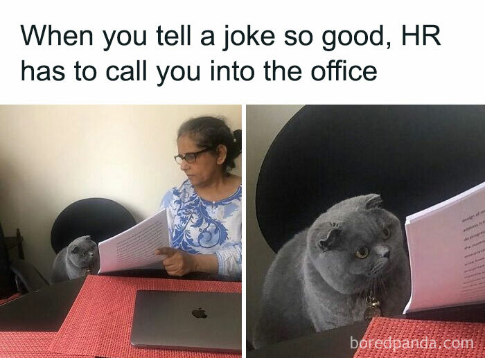 These Office Memes Are So Relatable, You'll LOL at Your Desk
