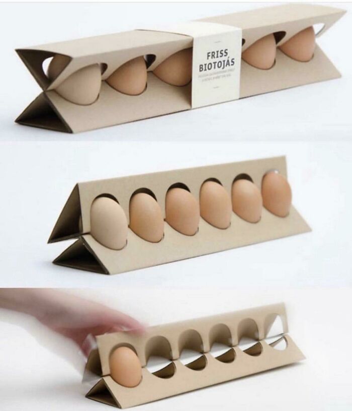 Egg Carton, But Make It Confusing