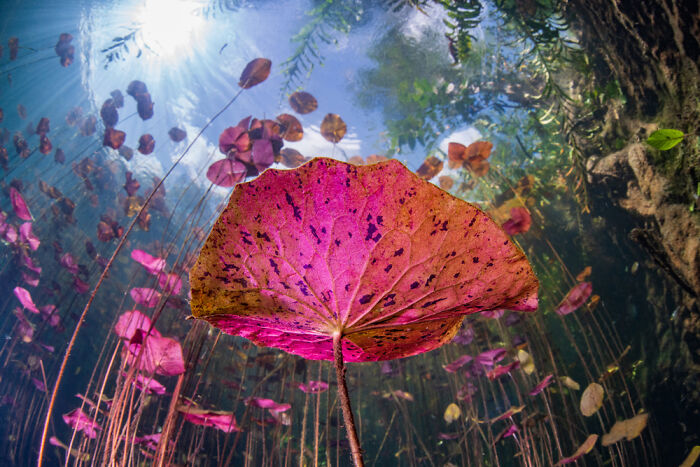 These Travel Photos Won Big And Yep, They’re Totally Stunning!