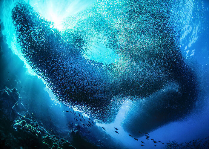 These Travel Photos Won Big And Yep, They’re Totally Stunning!