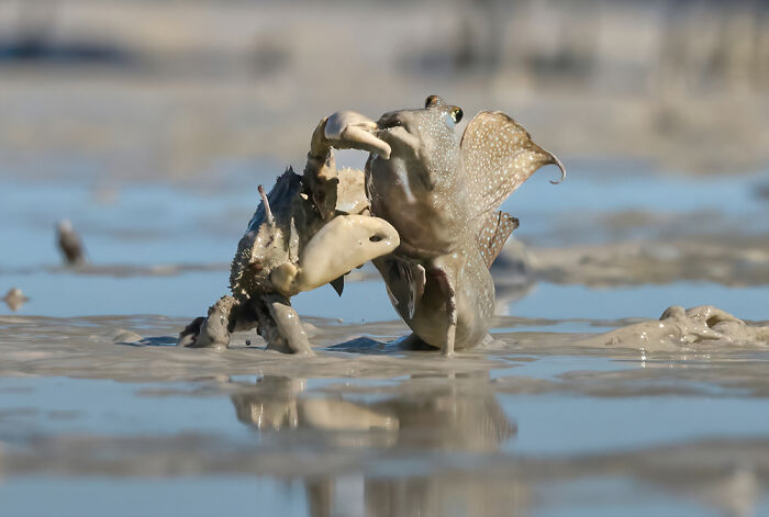 These Travel Photos Won Big And Yep, They’re Totally Stunning!