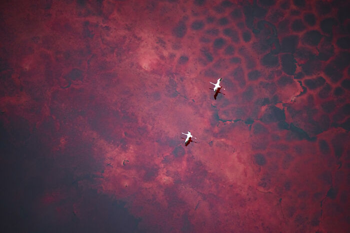 These Travel Photos Won Big And Yep, They’re Totally Stunning!