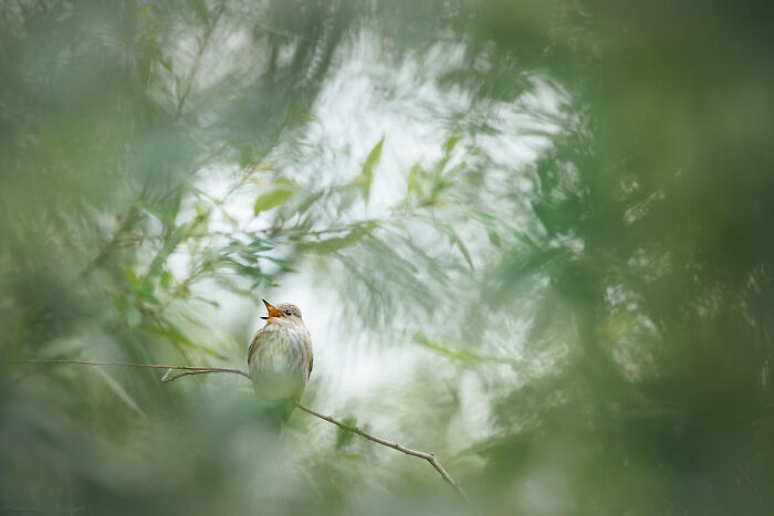 These Travel Photos Won Big And Yep, They’re Totally Stunning!