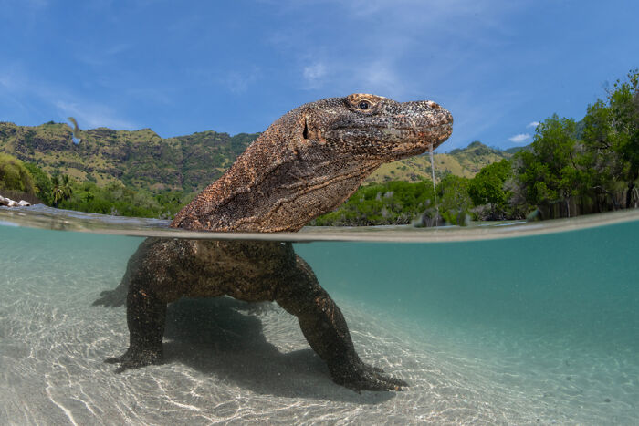 These Travel Photos Won Big And Yep, They’re Totally Stunning!
