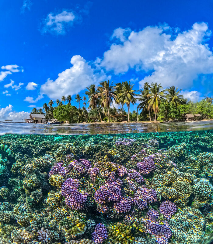 Split Shot Magic in French Polynesia