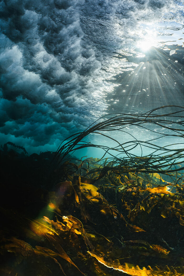 Wave Power and Workout (British Waters Wide Angle 3rd Place)
