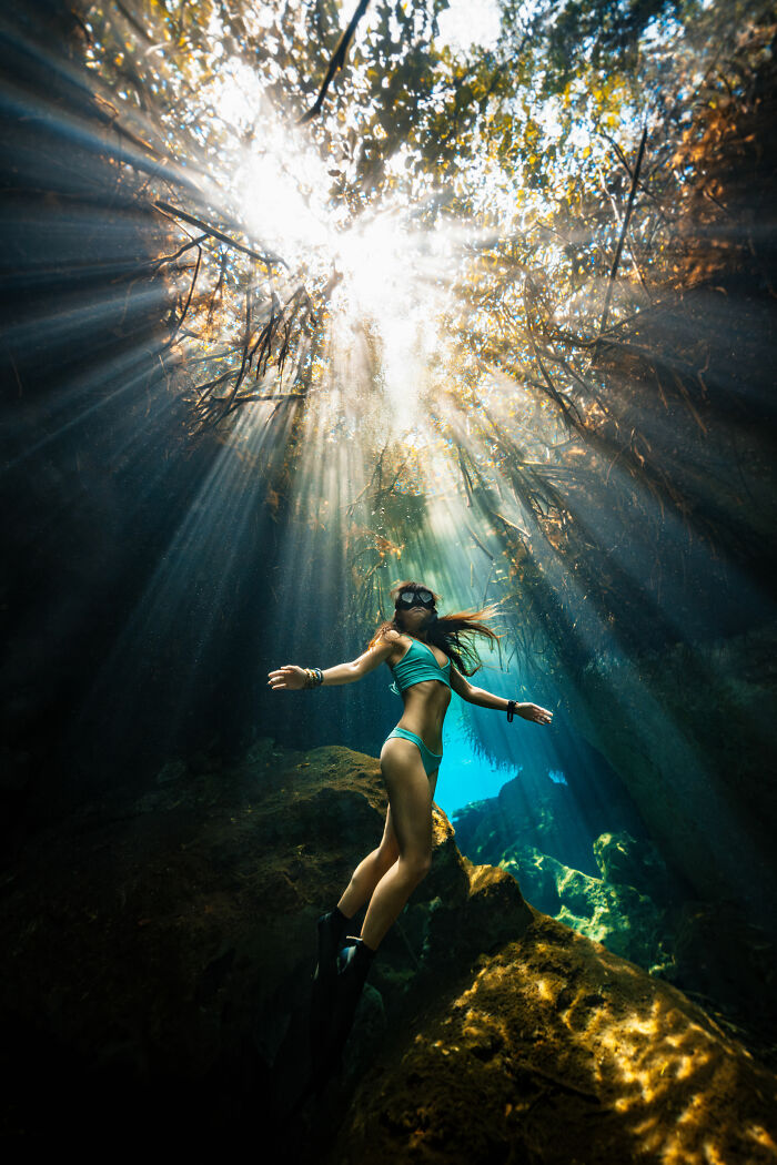 Dancing in the Mangroves (Up & Coming Runner Up)